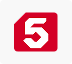 5 канал
